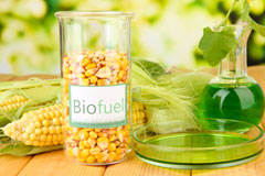Shirley Warren biofuel availability